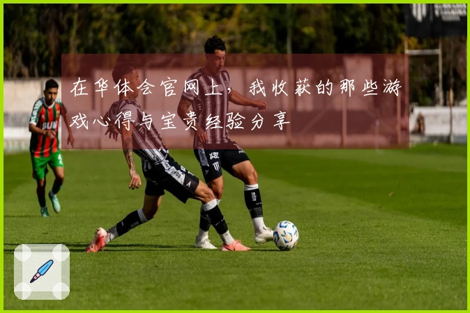 在华体会官网上，我收获的那些游戏心得与宝贵经验分享